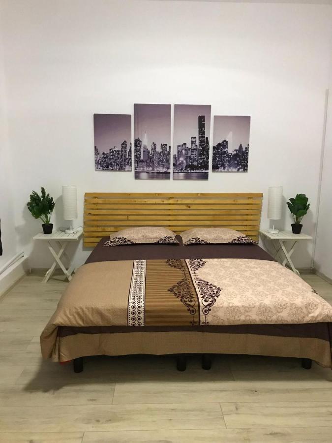 Large Apartment City Centre Bükreş Dış mekan fotoğraf